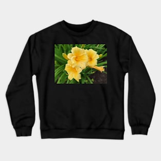 Cluster of Yellow Flowers Photographic Image Crewneck Sweatshirt